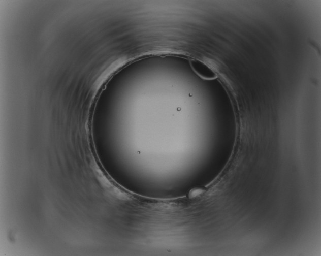 X0000101951189200807181443