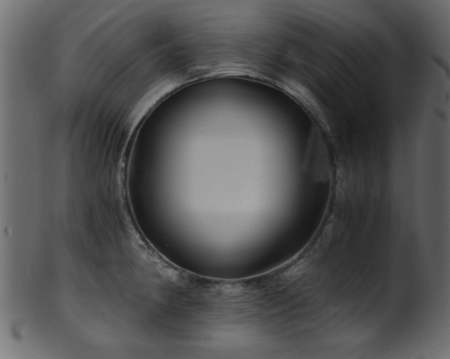 X0000101951190200807181443