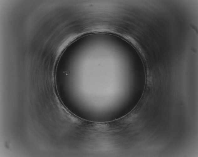 X0000101951191200807181443