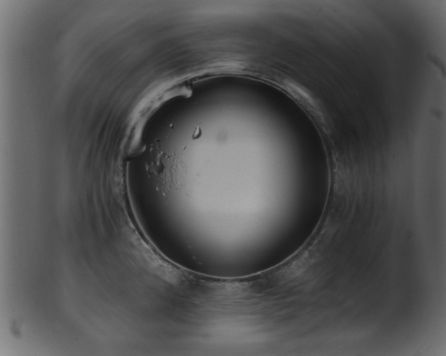 X0000101951192200807181443