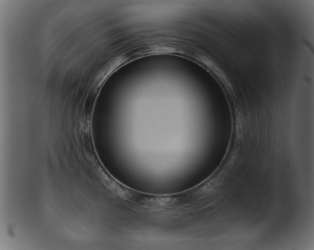 X0000101951193200807181443