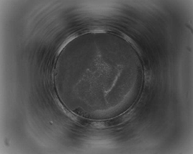 X0000101951194200807181443