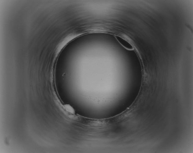 X0000101951195200807181443