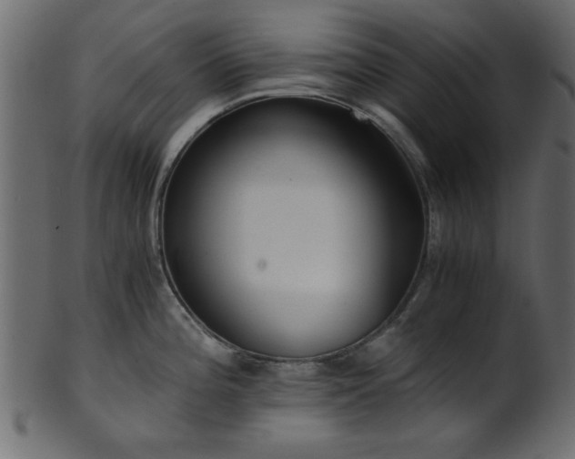 X0000101951196200807181443