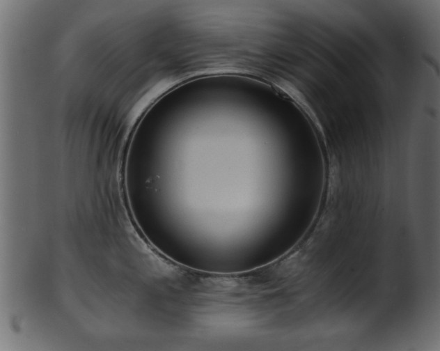 X0000101951197200807181443