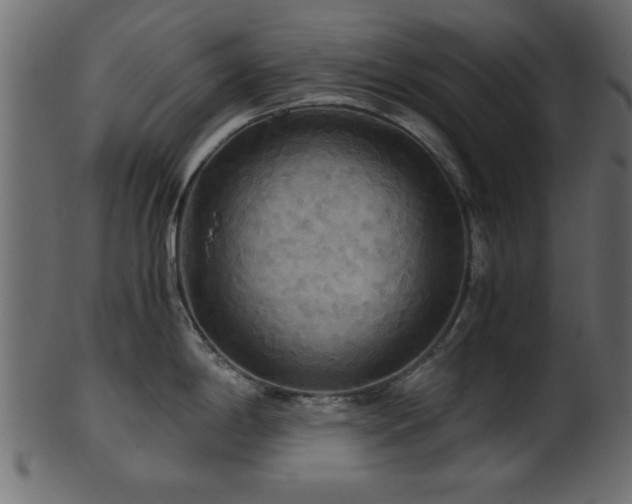 X0000101951198200807181443