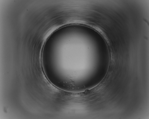 X0000101951199200807181443