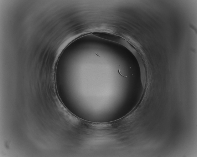 X0000101951200200807181443