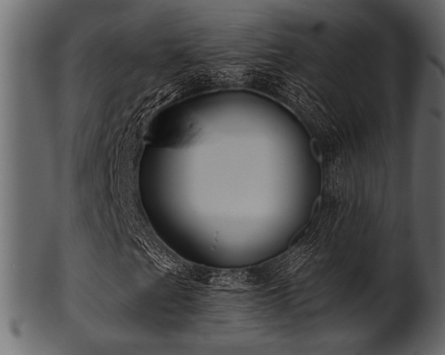 X0000101951201200807181442