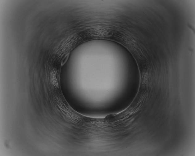 X0000101951202200807181442