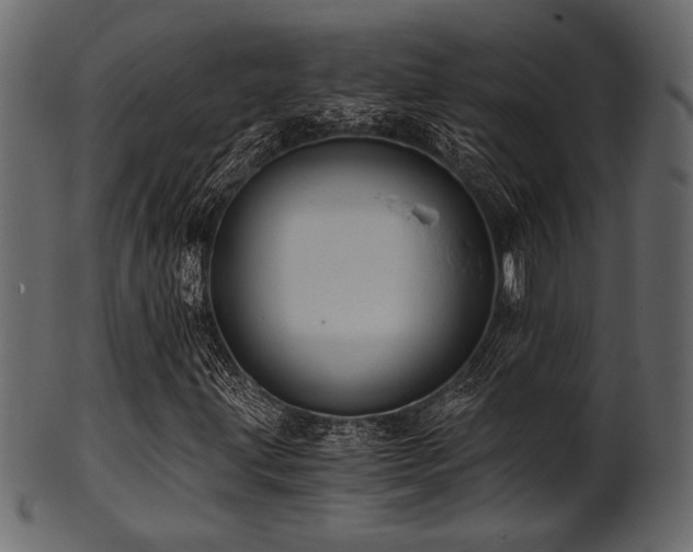 X0000101951203200807181442