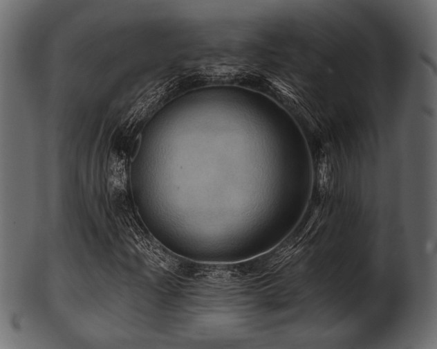 X0000101951204200807181442