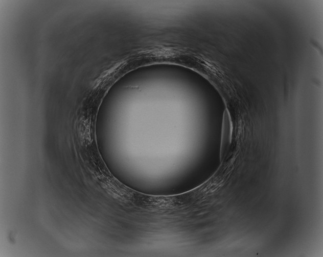 X0000101951205200807181442