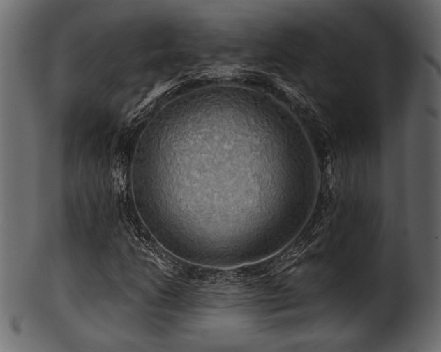 X0000101951206200807181442