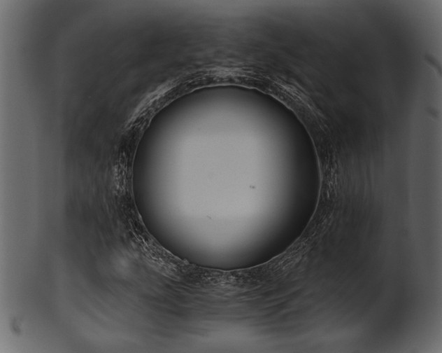 X0000101951207200807181442