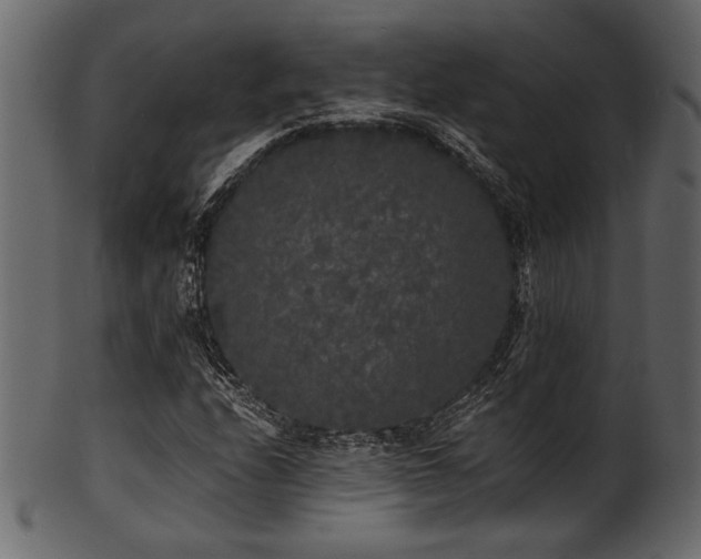 X0000101951208200807181442