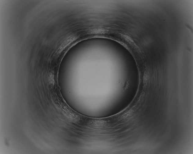 X0000101951209200807181442