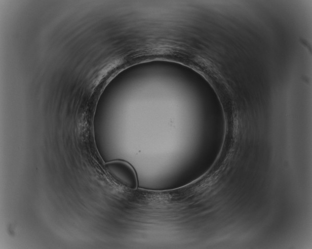 X0000101951210200807181442