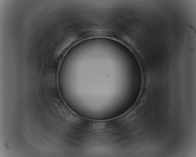 X0000101951211200807181442