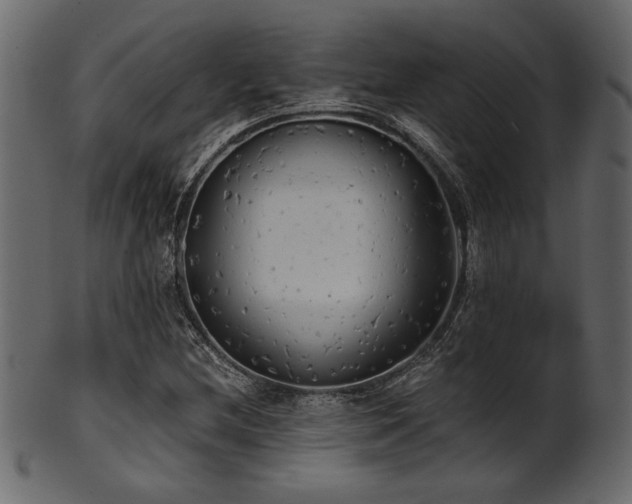 X0000101951212200807181442