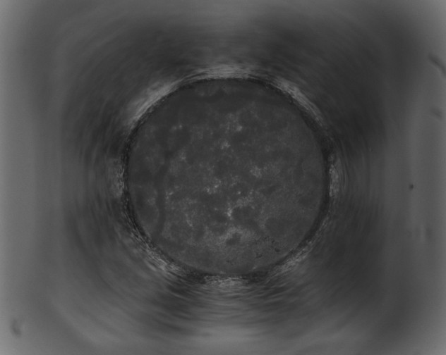 X0000101951213200807181442