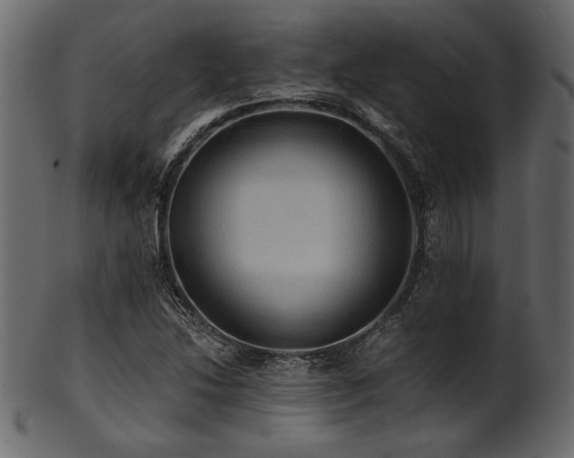 X0000101951214200807181442