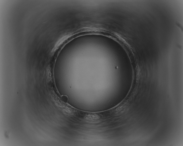 X0000101951215200807181442