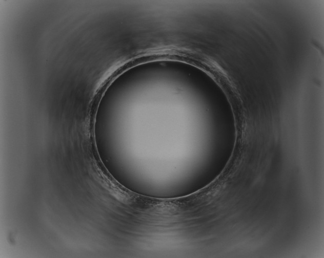 X0000101951216200807181442