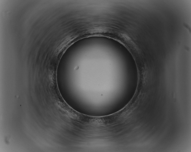 X0000101951217200807181442