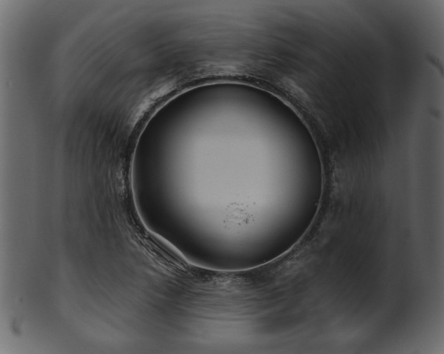 X0000101951218200807181442