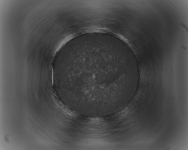 X0000101951219200807181442