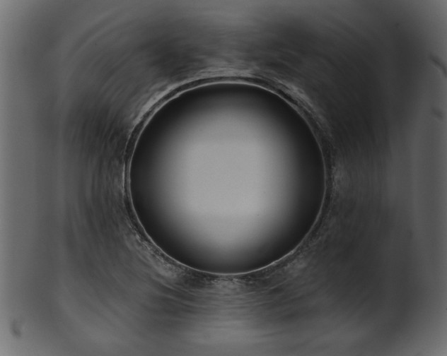 X0000101951220200807181442