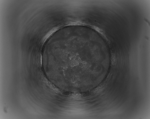 X0000101951221200807181442