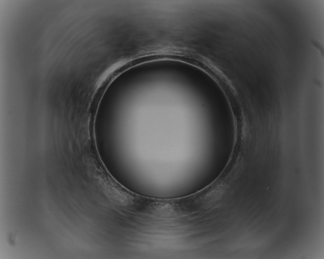 X0000101951222200807181442