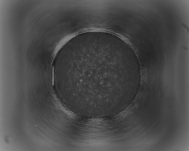 X0000101951223200807181443