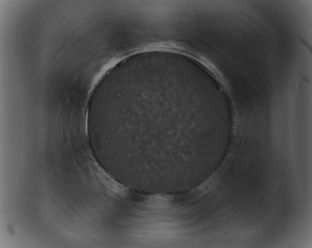 X0000101951224200807181443