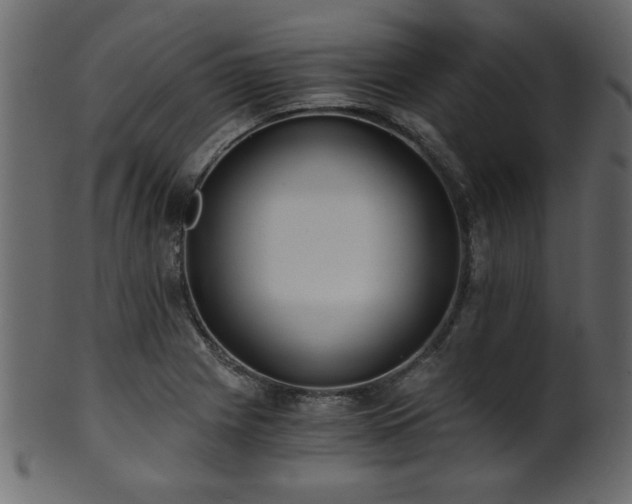 X0000101951225200807181443