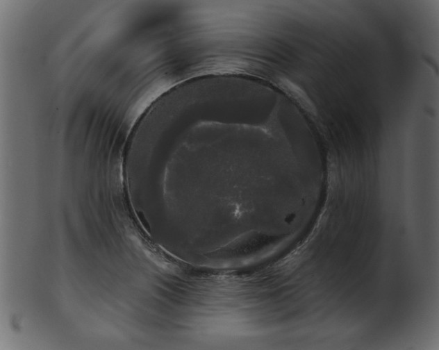 X0000101951226200807181443