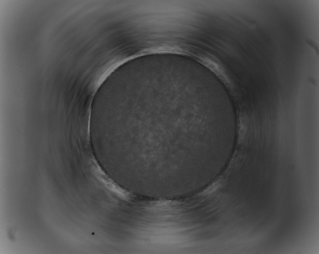 X0000101951228200807181443