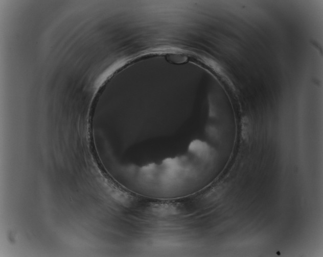 X0000101951229200807181443