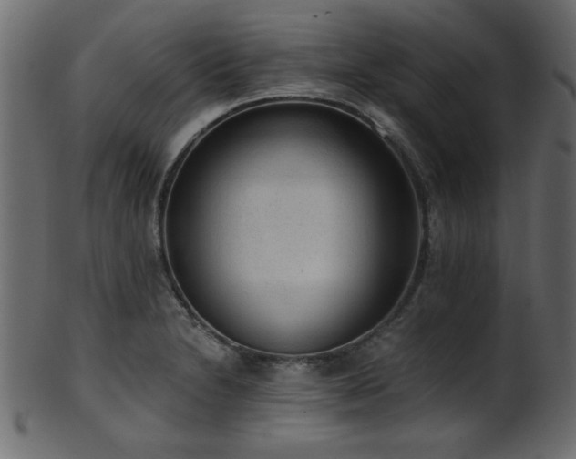 X0000101951230200807181443