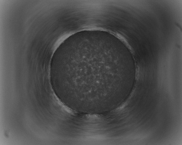 X0000101951231200807181443