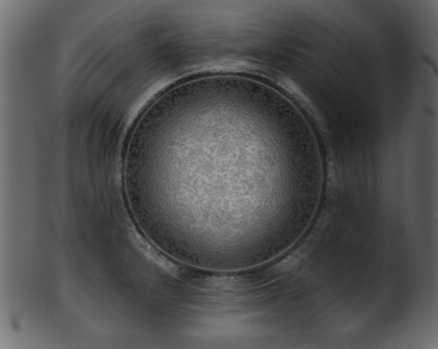 X0000101951232200807181443