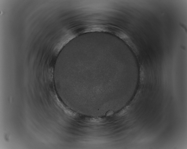 X0000101951233200807181443