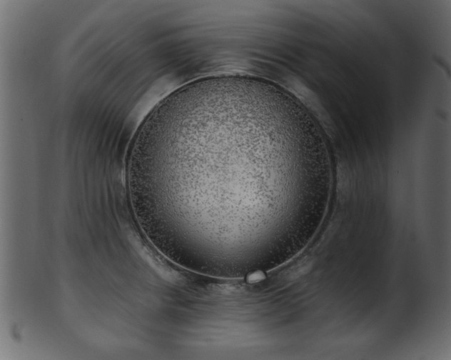 X0000101951234200807181443