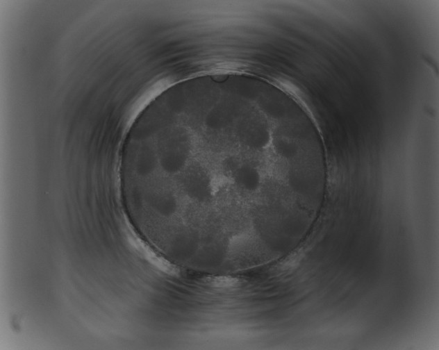 X0000101951235200807181443