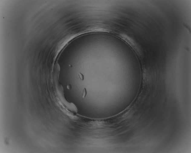 X0000101951236200807181443