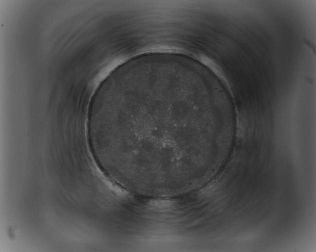 X0000101951237200807181443