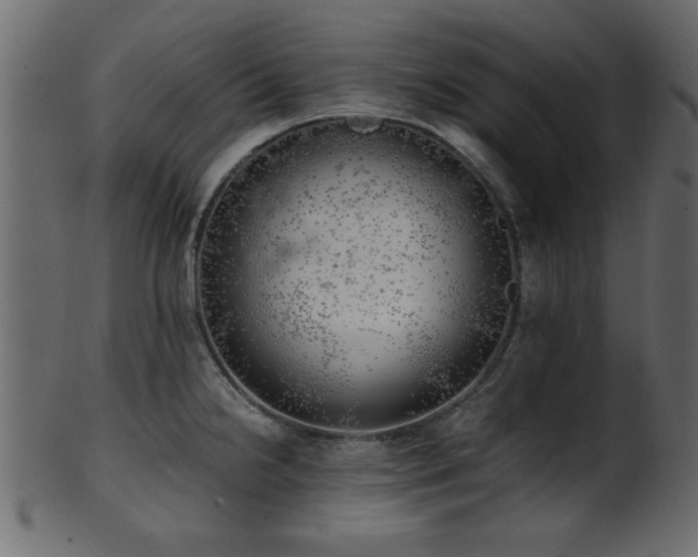 X0000101951238200807181443