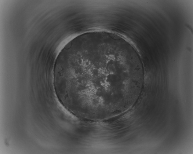 X0000101951239200807181443